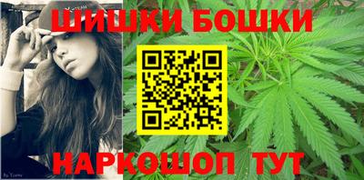 сатива Славгород