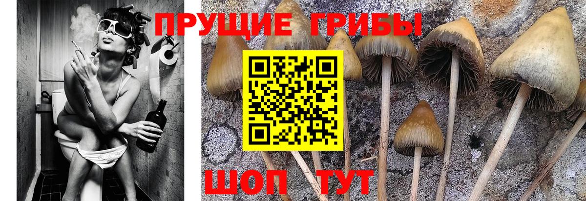 Галлюциногенные грибы GOLDEN TEACHER Серов