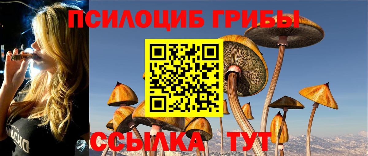 Псилоцибиновые грибы ЛСД  Вход с VPN  Серов  Псилоцибиновые грибы GOLDEN TEACHER 